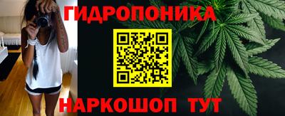 гашик Заводоуковск