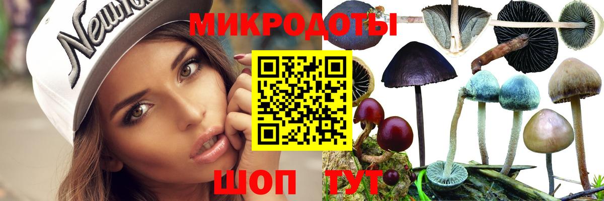 Галлюциногенные грибы GOLDEN TEACHER  Вход с VPN  Псилоцибиновые грибы Psilocybine cubensis  Армавир 